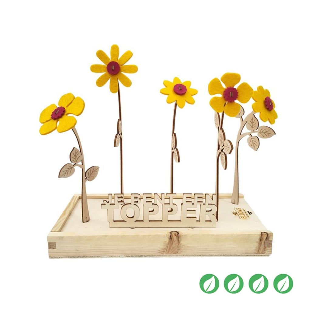 bloomsb_006_hb__1.jpg