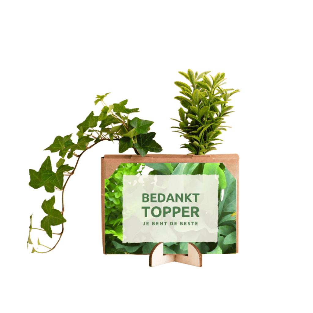 bloomsb_13_01__6.jpg