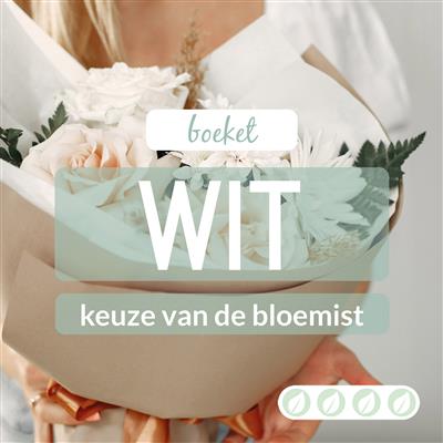 02_kvdb012__1.jpg