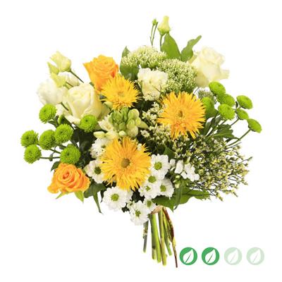 bb_00032__1.jpg