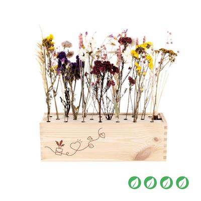 bloomsb_0817__1.jpg