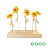 bloomsb_002_hb__1.jpg