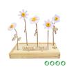 bloomsb_003_hb__1.jpg