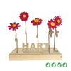 bloomsb_004_hb__1.jpg