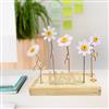 bloomsb_004_hb__5.jpg