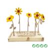 bloomsb_006_hb__1.jpg