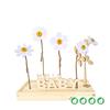 bloomsb_007_hb__1.jpg