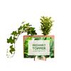 bloomsb_13_01__6.jpg